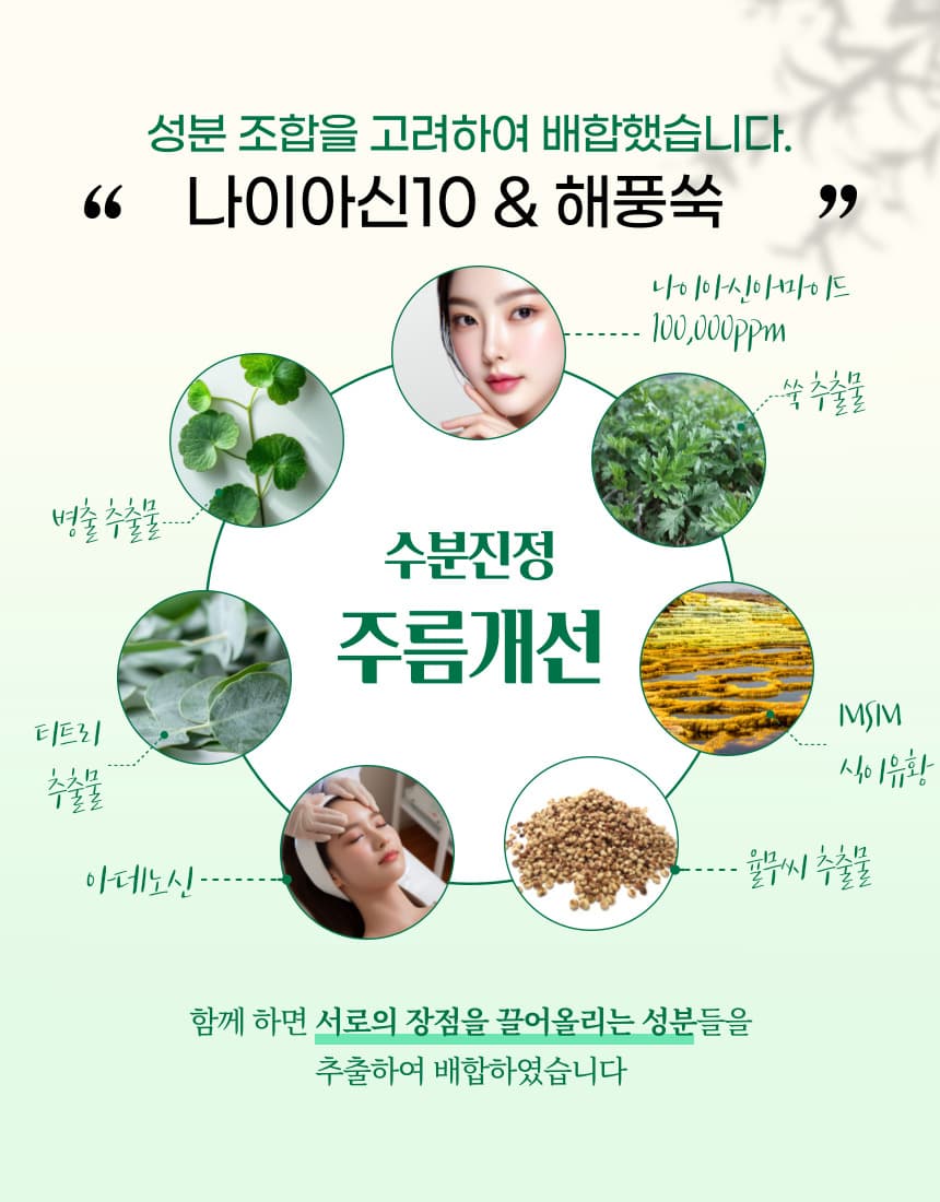 해풍쑥담 마사지 크림 200ml / 수분진정 주름개선기능성 - 4